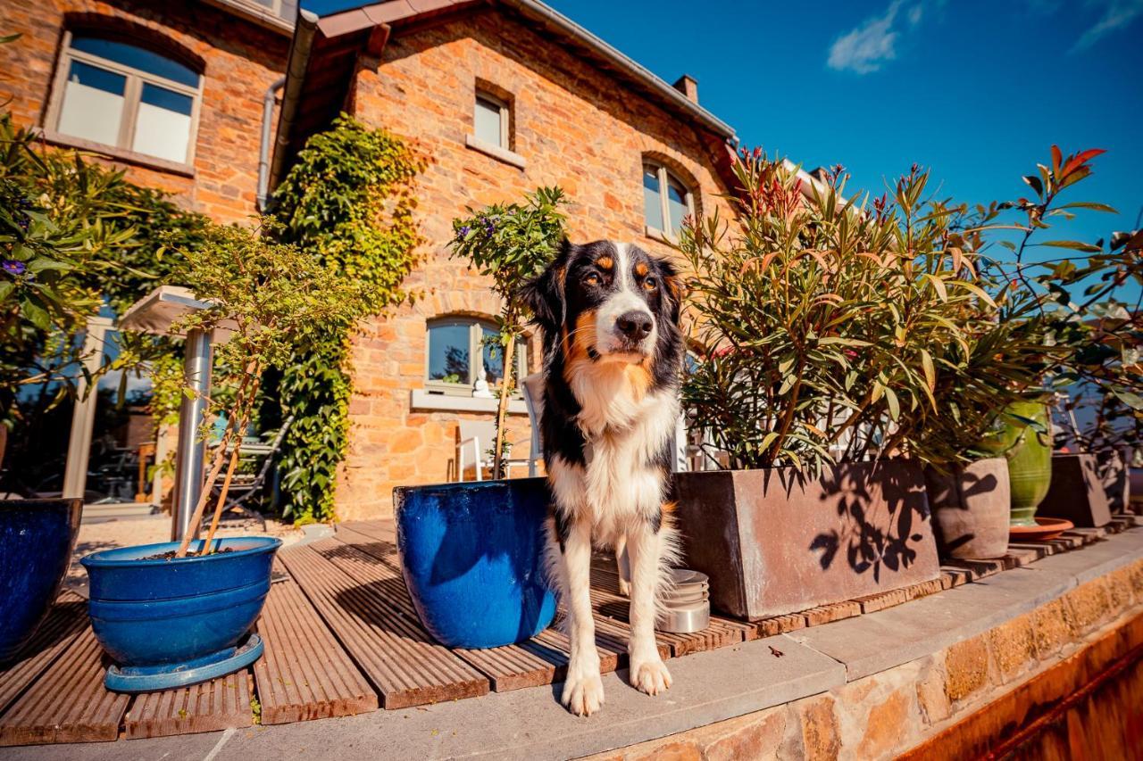 Bed & Breakfast Le Jardin Des Secrets 
