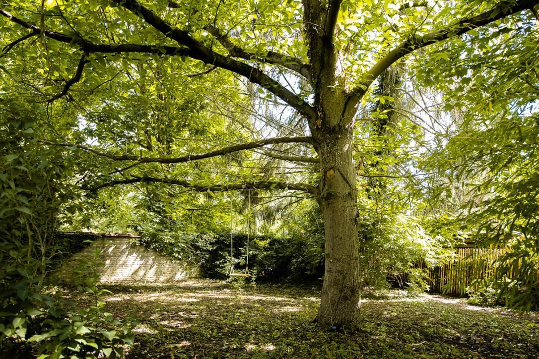 Le Jardin Des Secrets 